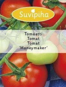 Suvipiha Tomaatti Moneymaker